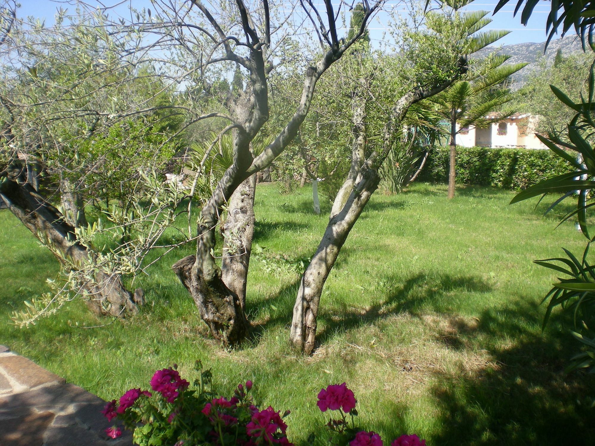Residenza Marina Apartamento Orosei Exterior foto